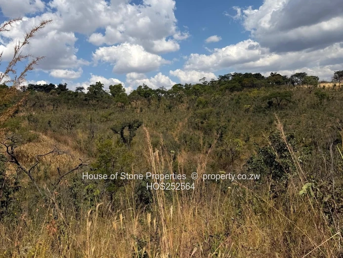 Christon Bank Land  For Sale