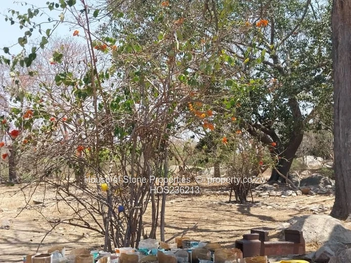 Arable Farm in Hatfield