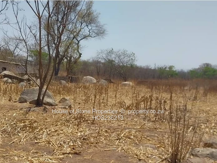 Arable Farm in Hatfield