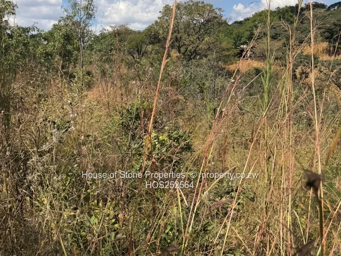 Christon Bank Land  For Sale