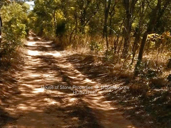 A Prime Farming  Opportunity just Outside Mvuma