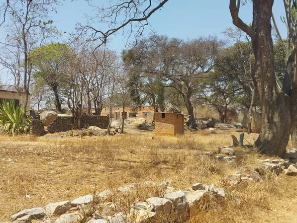 Farm & Agricultural Land