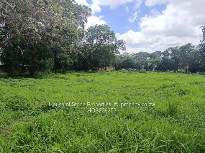 Glenlorne Stand - 1 Acre for Sale.