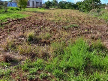 Farm & Agricultural Land