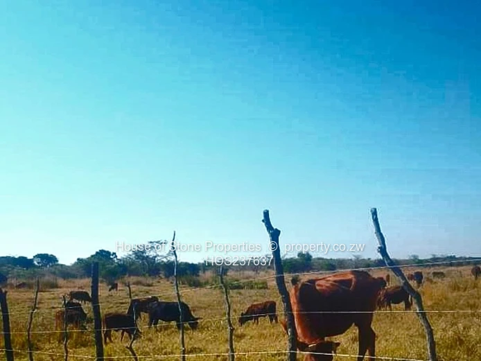 A Prime Farming  Opportunity just Outside Mvuma
