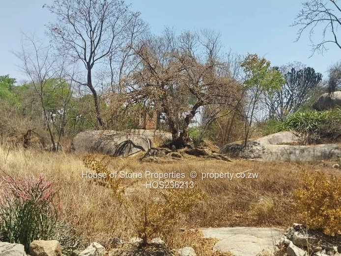 Arable Farm in Hatfield
