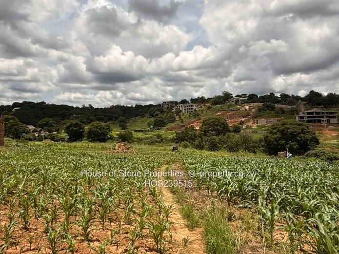 Glen Lorne Residential Stand For Salev